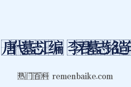 唐代墓志汇编·李君墓志铭造句是什么意思的图片